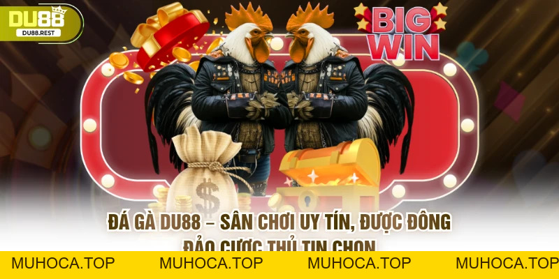 Đá gà DU88 – Trải nghiệm đá gà trực tuyến đỉnh cao 2026 - muhoca