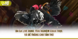DU88 | Trang Chủ Mới Nhất muhoca.top | Link DK MỚI - muhoca
