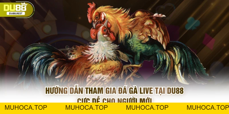 Đá gà live Du88 - Trải nghiệm chân thực và dễ thắng - muhoca