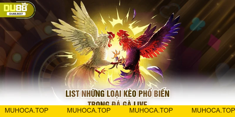 Đá gà live Du88 - Trải nghiệm chân thực và dễ thắng - muhoca