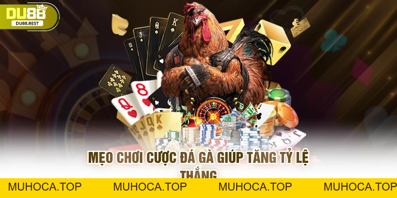 Cược đá gà Du88 – Hướng dẫn và mẹo thắng lớn cho game thủ - muhoca
