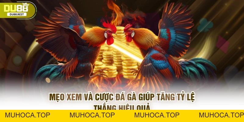 Đá gà DU88 – Trải nghiệm đá gà trực tuyến đỉnh cao 2026 - muhoca