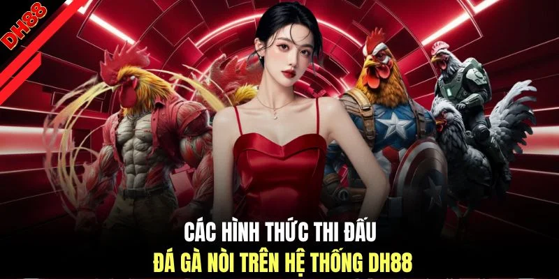 Đá Gà Nòi - 3 Thông Tin Cơ Bản Dành Cho Người Mới Theo Dõi - muhoca