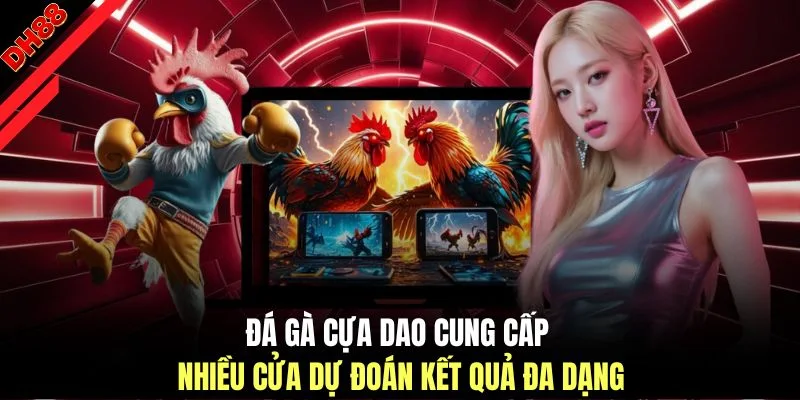 Đá Gà Cựa Dao - Trải Nghiệm Theo Dõi Kịch Tính Tại DH88 - muhoca