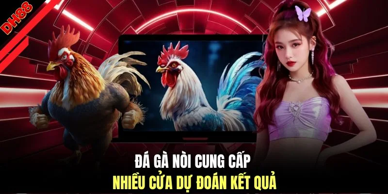Đá Gà Nòi - 3 Thông Tin Cơ Bản Dành Cho Người Mới Theo Dõi - muhoca