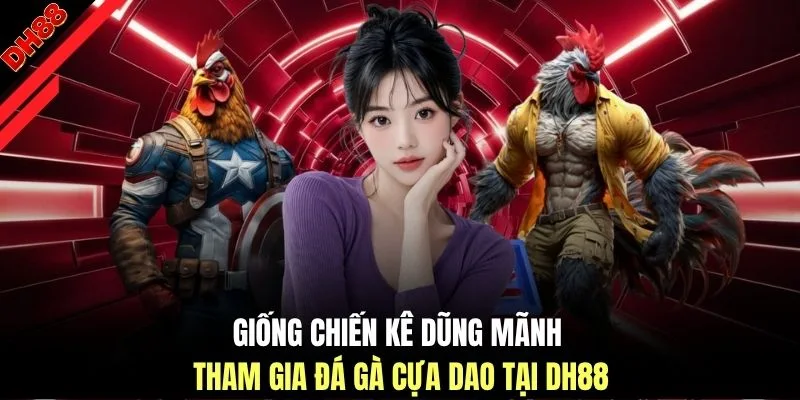 Đá Gà Cựa Dao - Trải Nghiệm Theo Dõi Kịch Tính Tại DH88 - muhoca